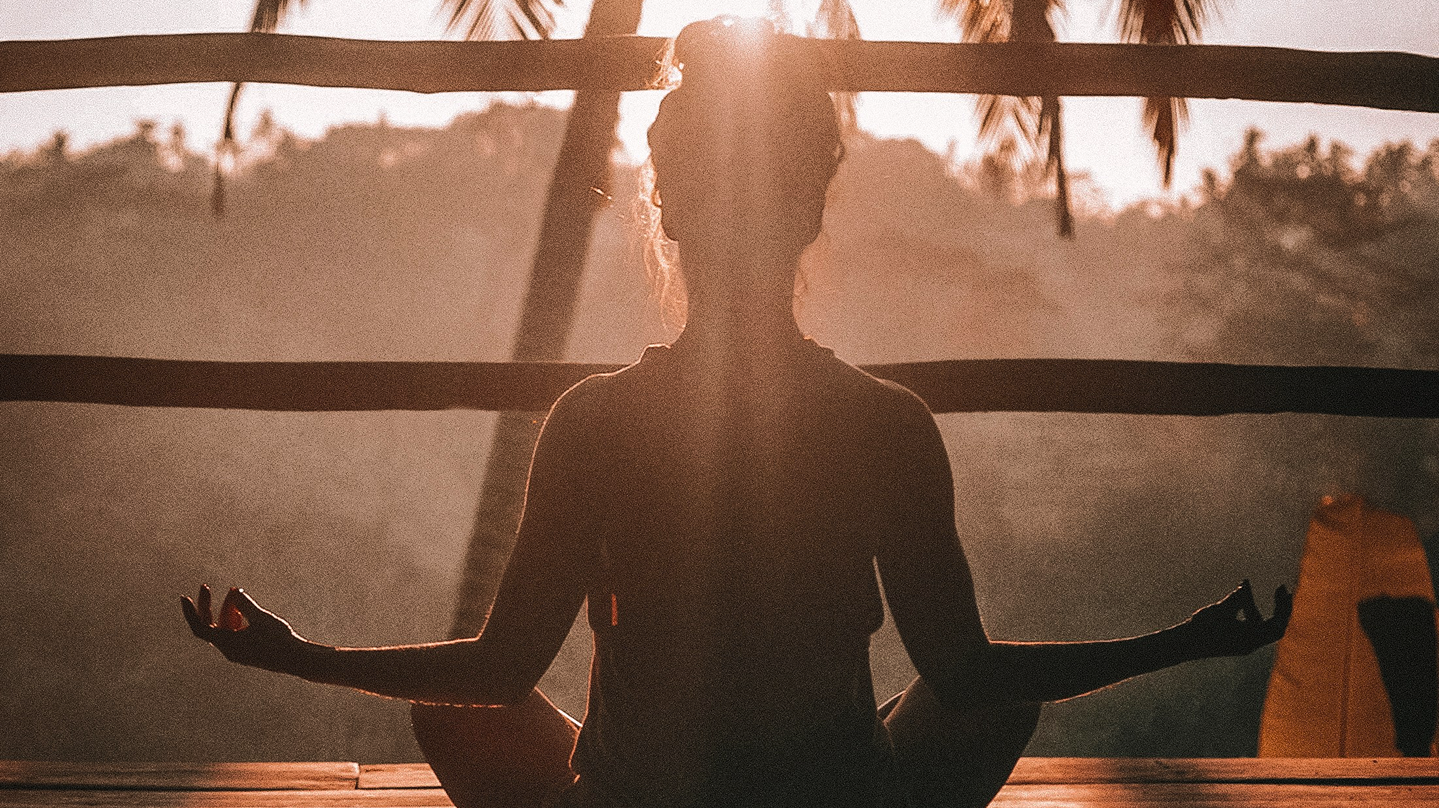 Detox Programs at Wellness Haven